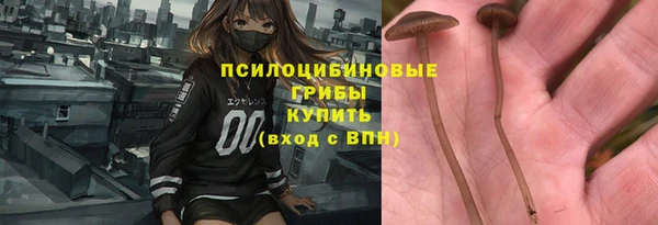 гашик Нея