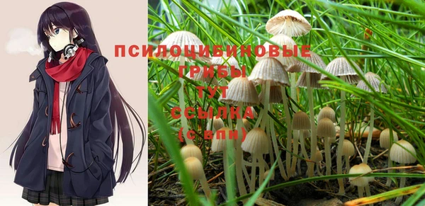 бошки Абдулино