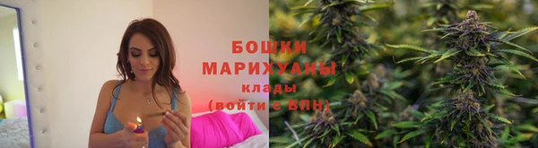 PSILOCYBIN Карпинск