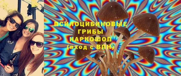мдпв Абинск