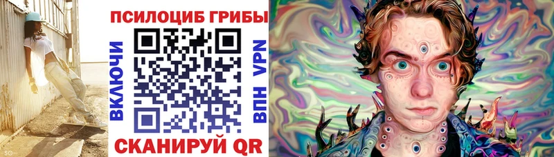 Галлюциногенные грибы Psilocybe  кракен рабочий сайт  Пойковский 